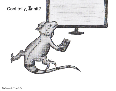 Iguana into Telly